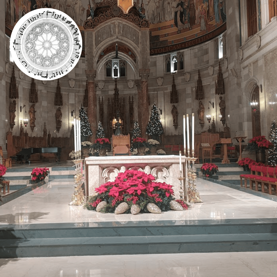 Cathedral Concert Series  |  Christmas Carol Sing